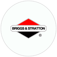 Бриггс Страттон (Briggs Stratton)